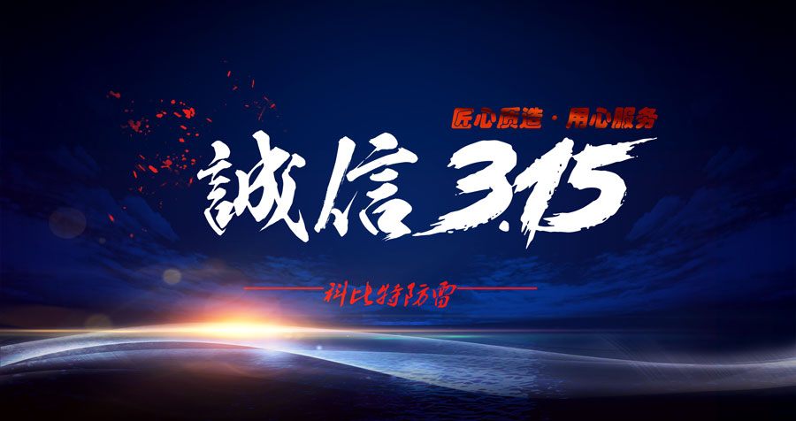 匠心质造、用心服务，半岛电竞防雷天天315