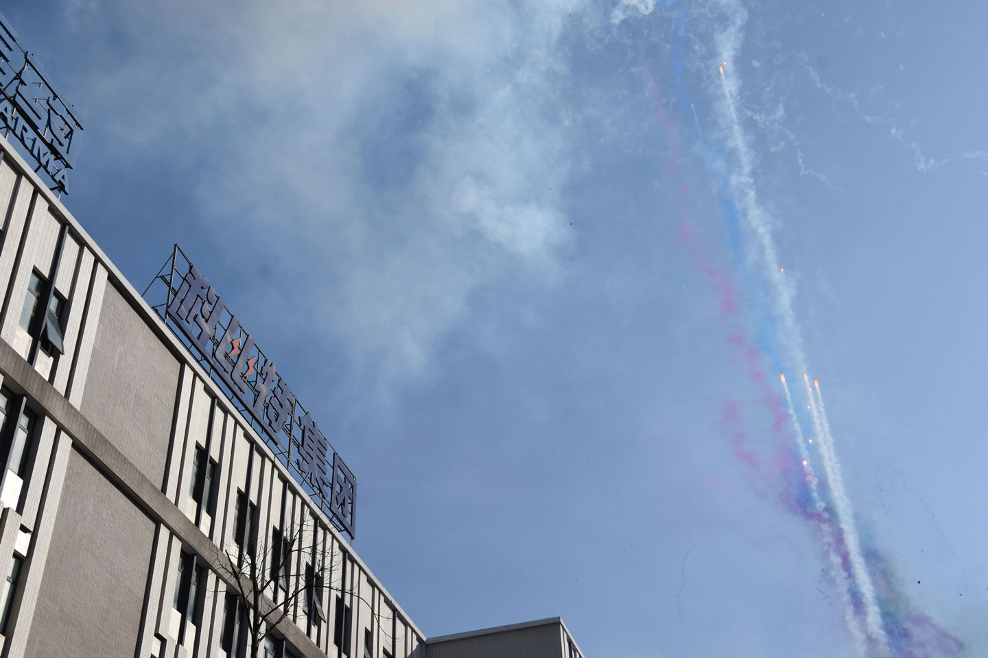 半岛电竞防雷 | 新春开工大吉！